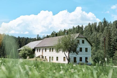 Liebenau House | Auszeit am Kamp - Ferienhaus Rametsteiner