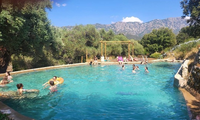 Novella House | Authentic 18th-century mill with 120 m² pool in 50-hectare olive grove.