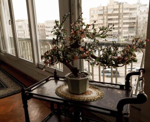 Heliopolis Apartment | Authentic Cozy Family Home with Prime Location