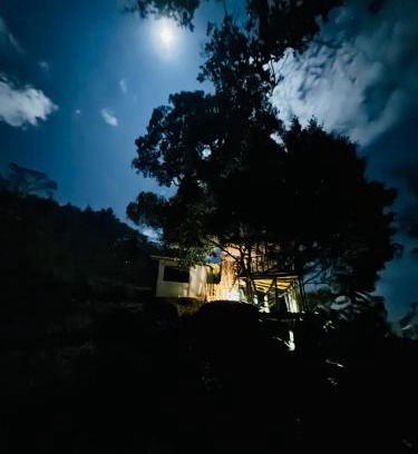 Kotapola Other | AVA tree house