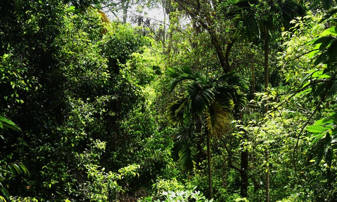 Harispattuwa House | Avaana By SpringHills