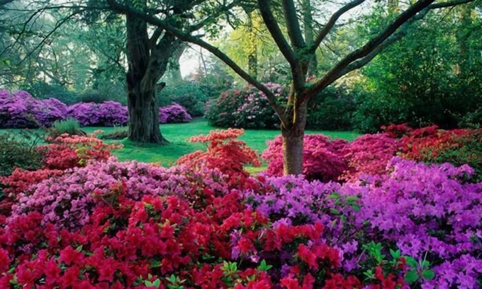 New Forest District Bed & Breakfast | Avalon House B&B