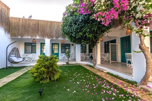 Palamutbuku Hotel | Avlu Otel Palamutbükü