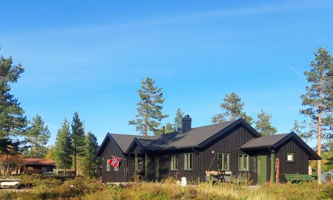 Fyresdal House | Awesome home in Fyresdal with kitchen