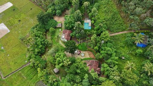 Krishnagiri Resort | Ayurnest Pool Resort Wayanad