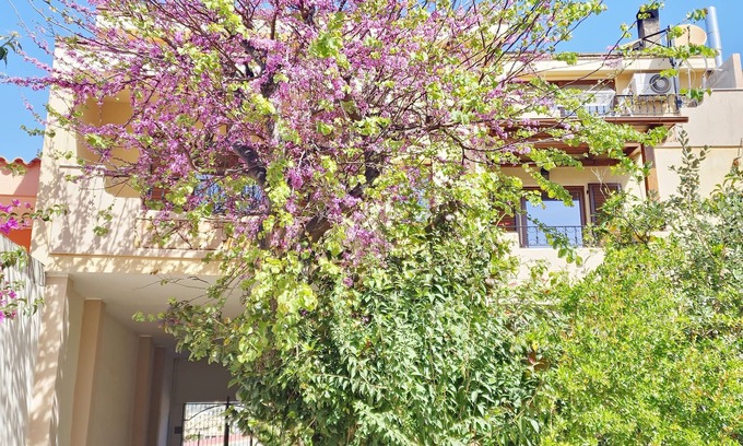 Villasimius Bed & Breakfast | B&B Ametista