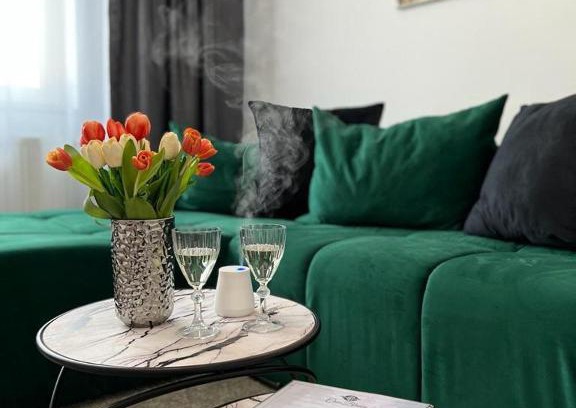 Otelu Rosu Apartment | B&B Apartment