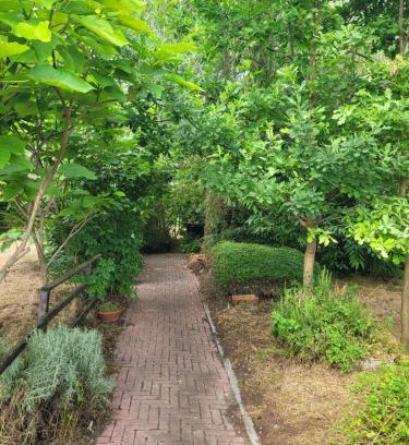 Casanova Lonati Bed & Breakfast | B&B Arcadia