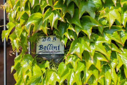 Fornazzo Bed & Breakfast | B&B Bellini