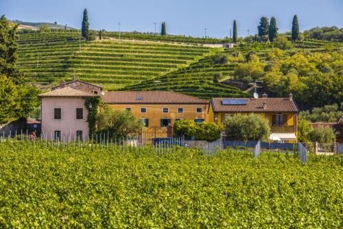 Gargagnago di Valpolicella Bed & Breakfast | B&B Ca' Bernai