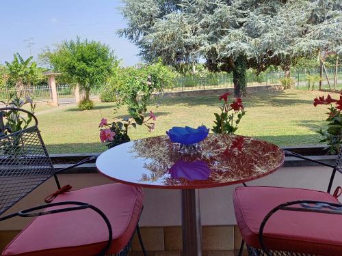Legnago House | B & B Cedro Argentato