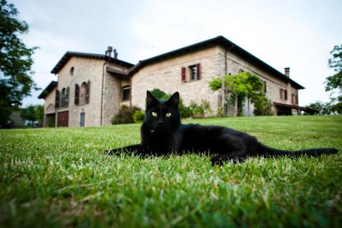 Compiano Bed & Breakfast | B&B Costalta