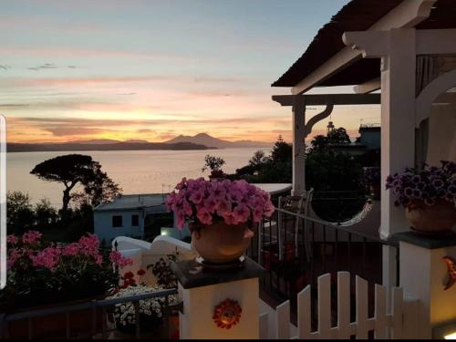 Capo Miseno Bed & Breakfast | b&b Dea Fortuna