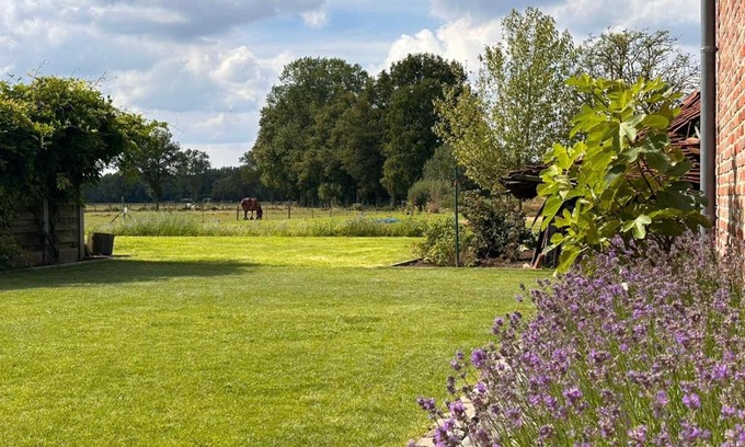 Vorselaar Bed & Breakfast | B&B Droomzoet
