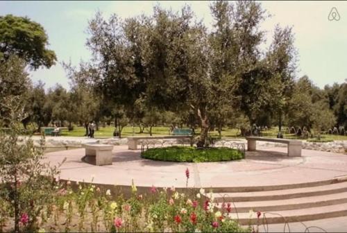 San Isidro Bed & Breakfast | B&B El Olivar