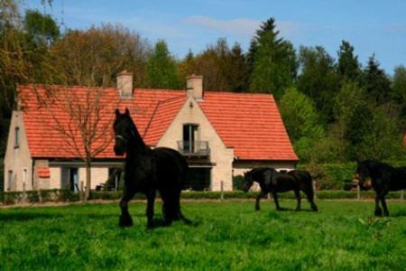 Hertsberge Bed & Breakfast | B&B Heerlijkhyd