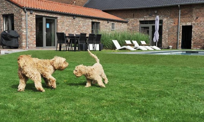 Vucht Bed & Breakfast | B&B Het Vuchterhof