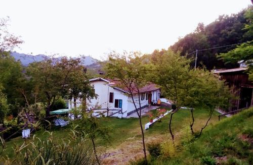 Cosseria Bed & Breakfast | B&B la Casa del daino