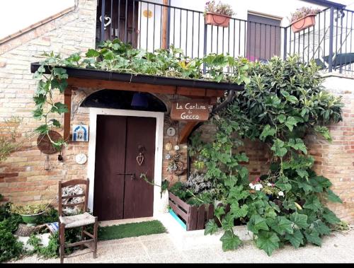 Collecorvino Bed & Breakfast | B&B La Casa in Campagna