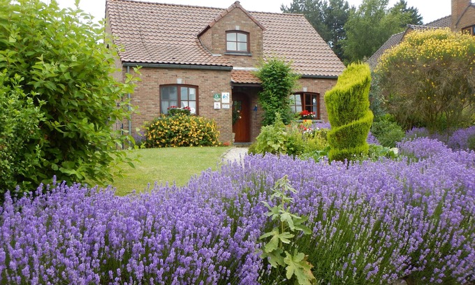 Cuesmes Bed & Breakfast | B&B La Chrysalide