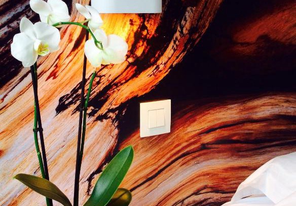 Lissewege Bed & Breakfast | B&B Lisdodde