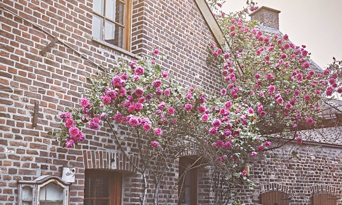Eijsden Bed & Breakfast | B&B Maas en Heuvel Maastricht