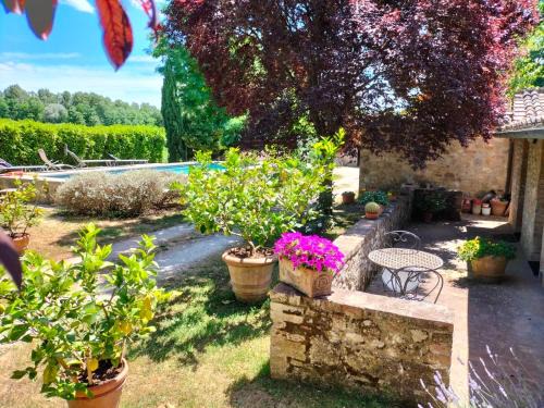 Sovicille Bed & Breakfast | B&B Palazzo a Merse