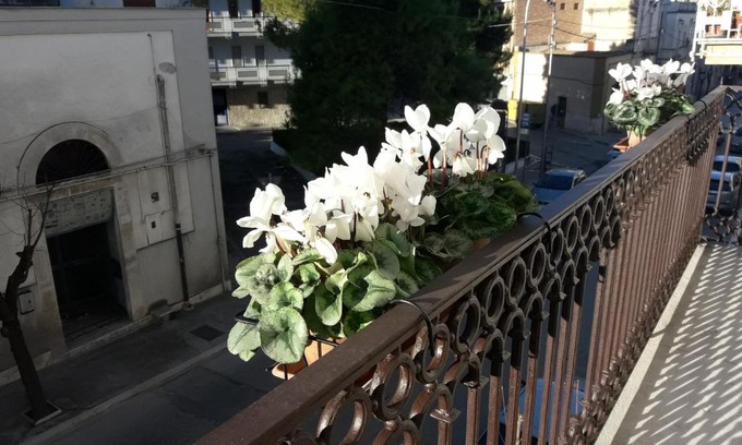 Canosa di Puglia Bed & Breakfast | B&B Saffi