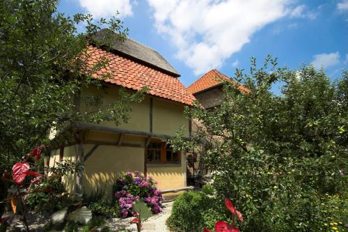 Mol Bed & Breakfast | B&B Tspijker