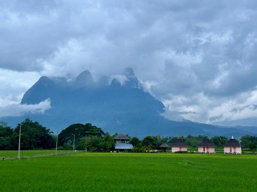 Chiang Dao House | Baan Porhdoi Goidao