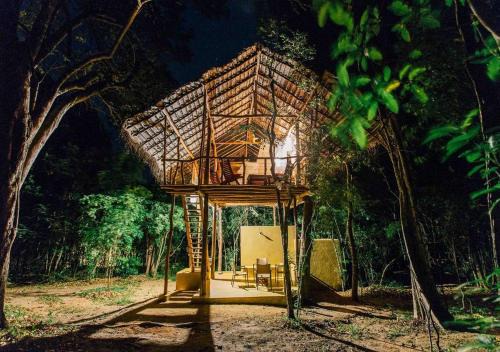 Sigiriya Cabin | Back of Beyond - Pidurangala