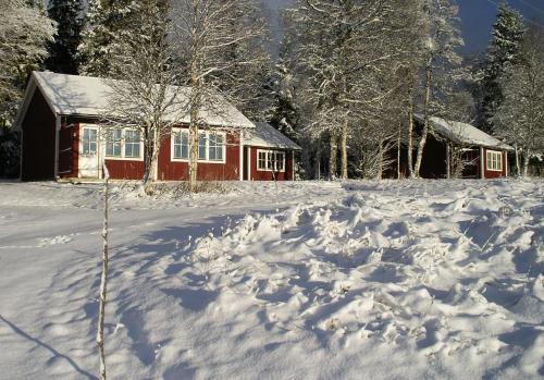 Duved Cabin | Backs Semesterby