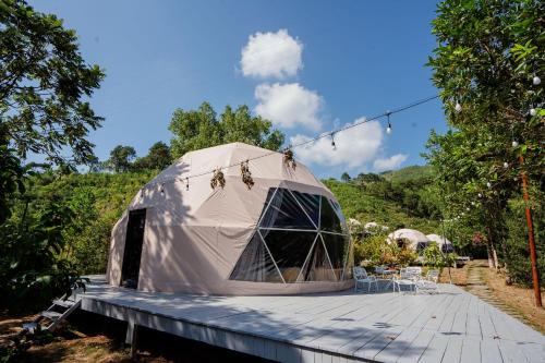Van Don Other | Bai Tu Long Mountain Resort