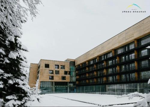 Bakuriani Apartment | Bakuriani Kokhta-Mitarbi Resort, apartment#4