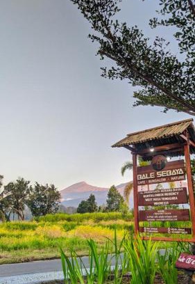 Bayan Hotel | Balé Sebaya - Bungalows Café Nature