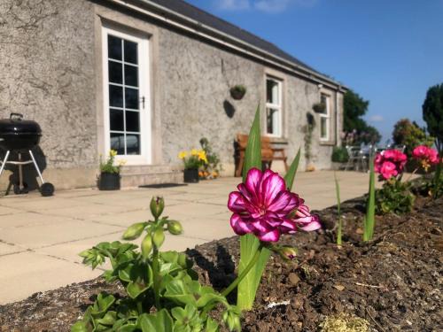 Lisnagunogue Villa | Ballyconnelly Cottages, Galgorm area