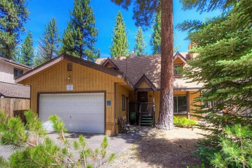 Y Area House | Bambi's Bunkhouse home