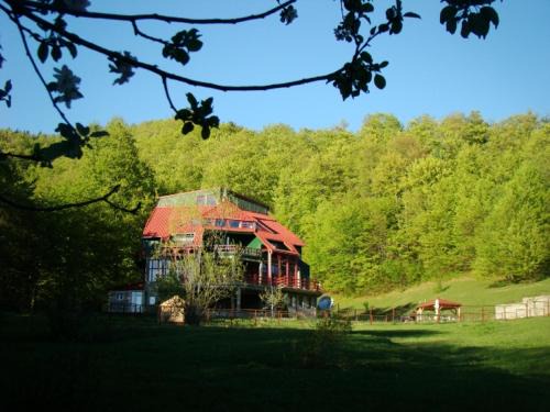 Lepsa House | Barlogul Ursilor Lepsa