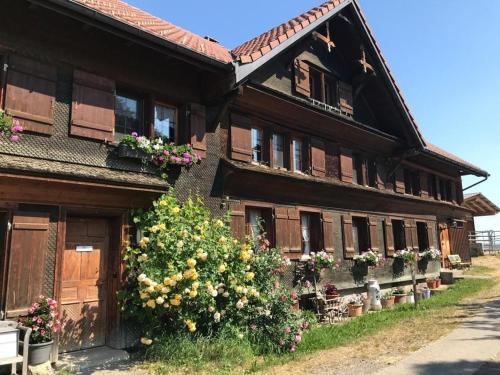 Butschwil Apartment | Bauernhof Sal