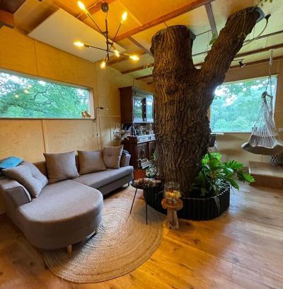 Borstel Bed & Breakfast | Baumhaus Beletage