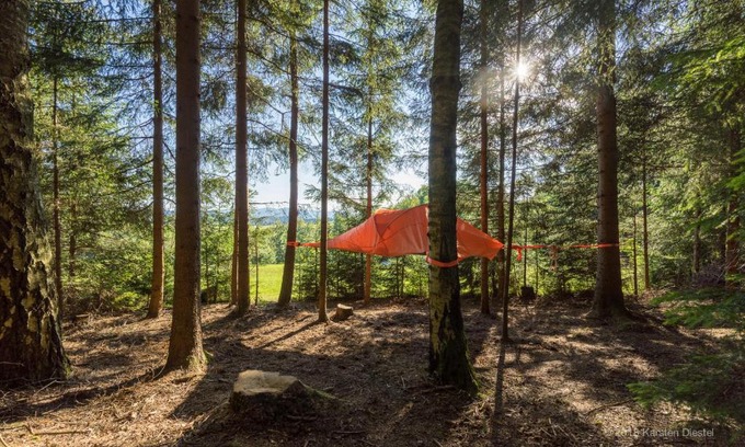 Regen Other | Baumzelt am Waldesrand