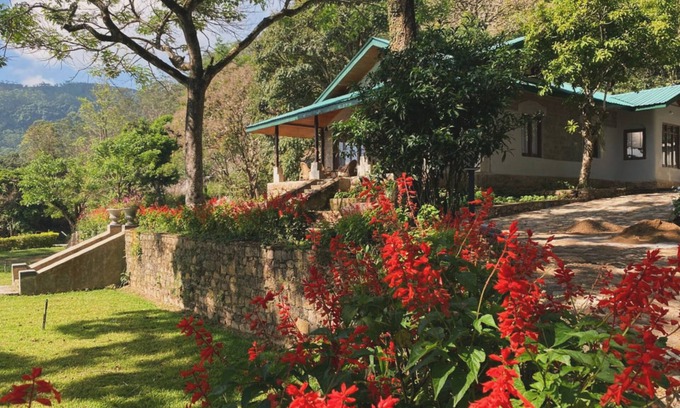 Pathahewaheta House | Bawlana Estate - Kandy
