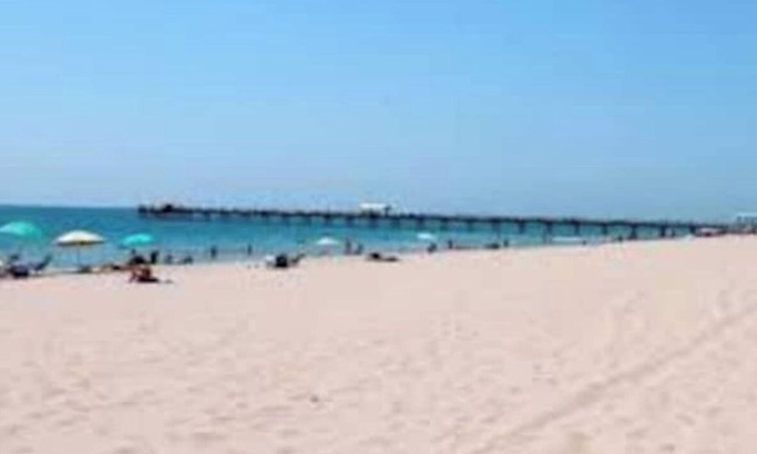 Bel Air Condo | Beach Condo- Building on sand!