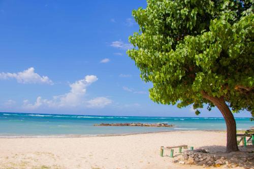 St.Bran's Burg Apartment | Beach Dreams at Seacastles