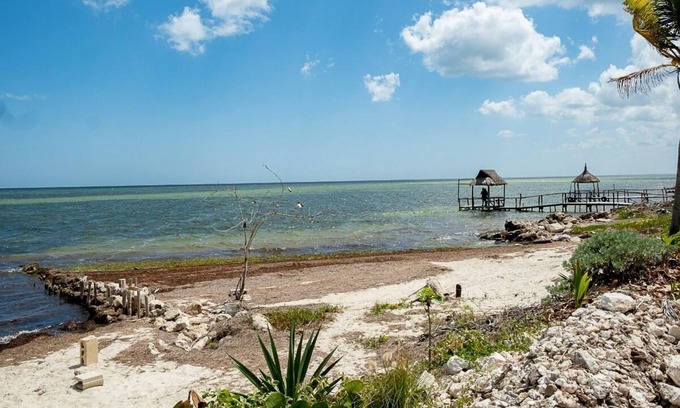 Yobain House | Beach house with beautiful view of the mangrove