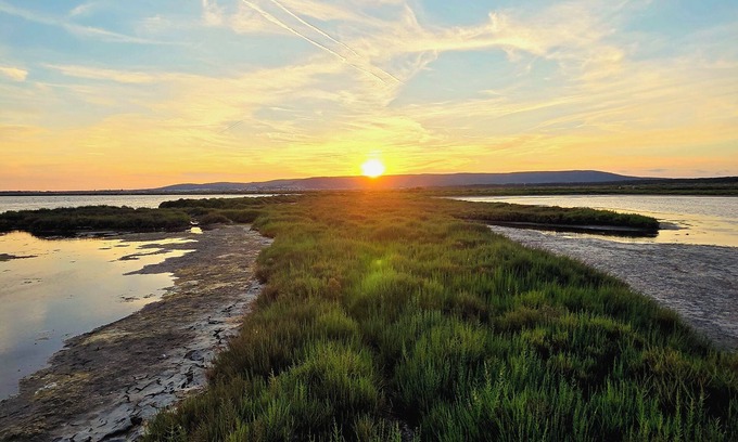 Frontignan Apartment | Beach studio with parking