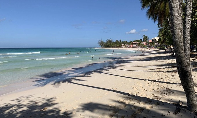 Dover Apartment | Beachfront apartment in Paradise: Turtles Nest D