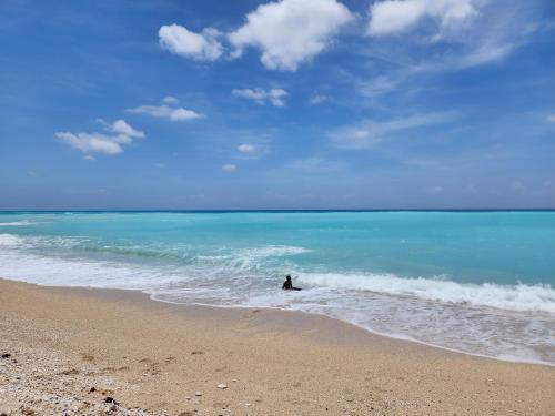 Paraiso Apartment | Beachfront Apartment, Quiet 4 Beds, 1 Bath, AC, Wi-Fi, Hot Water, in Paraiso near Los Patos