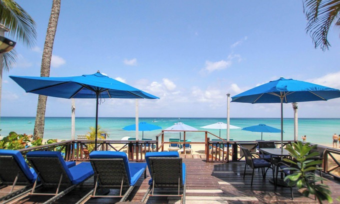 Old Trees Bay Apartment | Beachfront Bliss - Bora Bora Lower