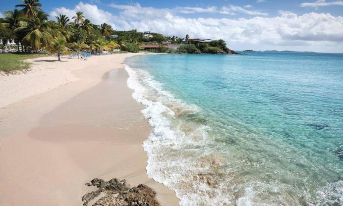 Flag Hill Resort | Beachfront LimeTree Resort 1-Bedroom Suite + Amenities